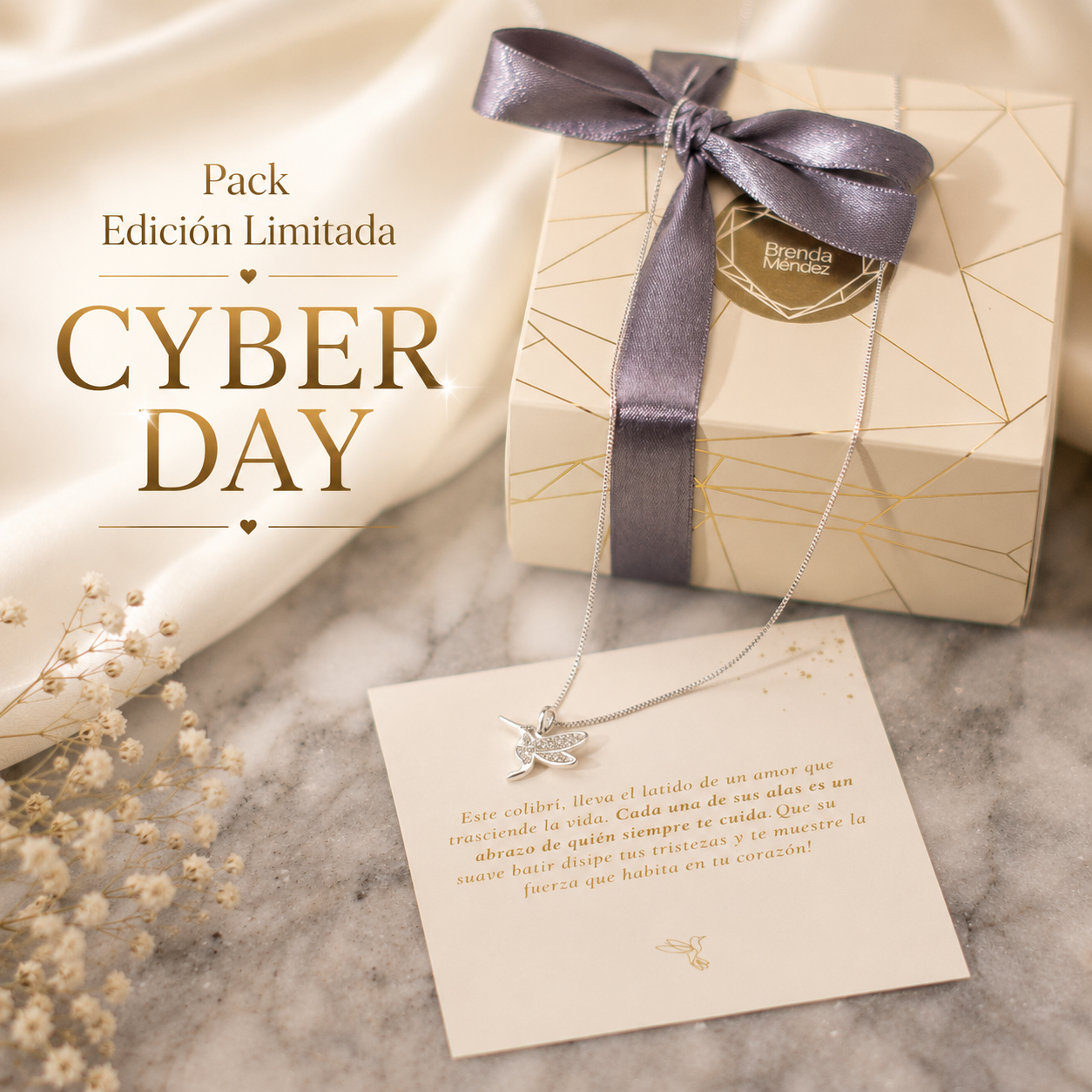 PACK COLIBRÍ CYBER "COLLAR PLATA + AROS REGALO"