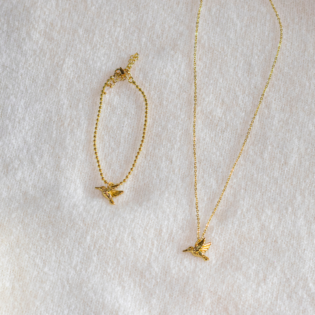NUEVO CONJUNTO COLIBRÍ "UN AMOR QUE TRASCIENDE A LA VIDA"