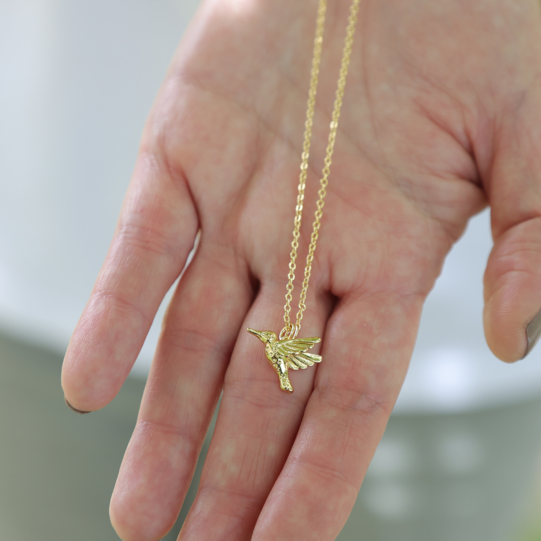 NUEVO CONJUNTO COLIBRÍ "UN AMOR QUE TRASCIENDE A LA VIDA"